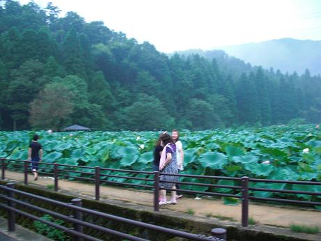 ファイル 129-1.jpg