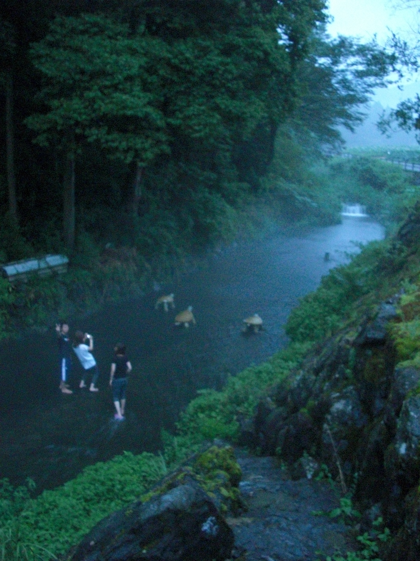 ファイル 129-2.jpg