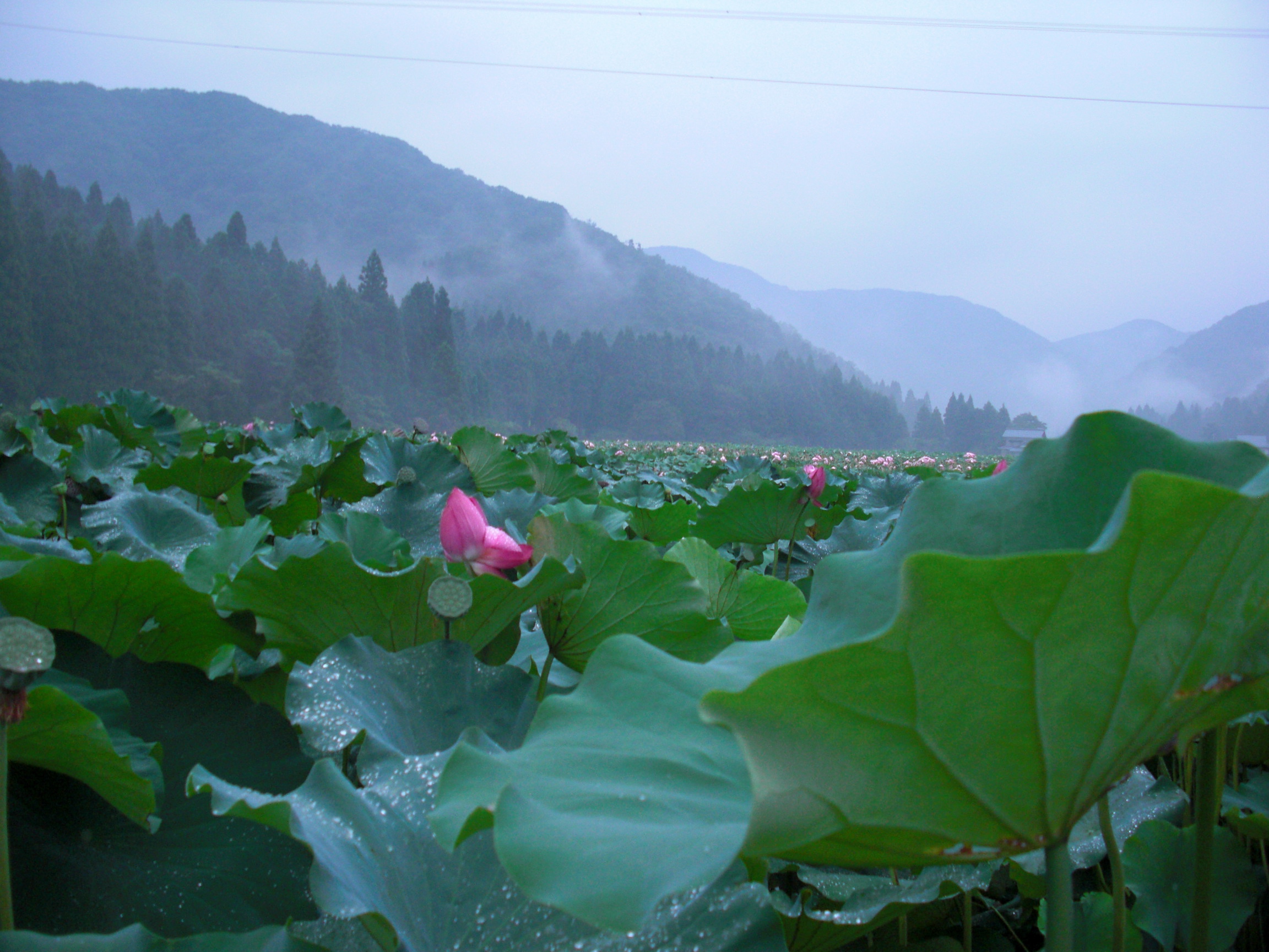 ファイル 129-3.jpg