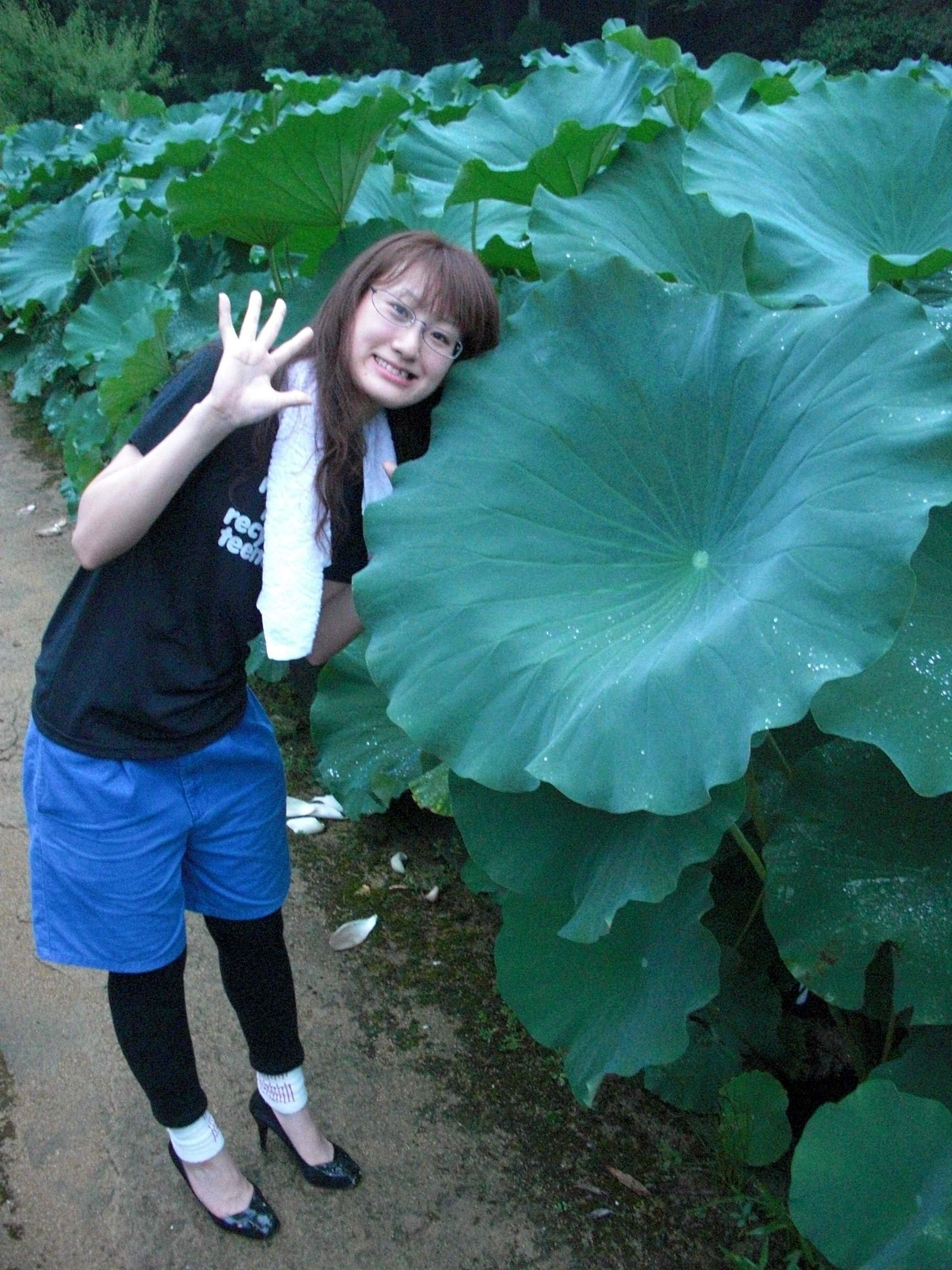 ファイル 129-4.jpg