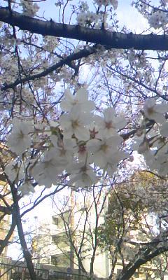 ファイル 158-2.jpg