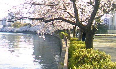 ファイル 158-3.jpg