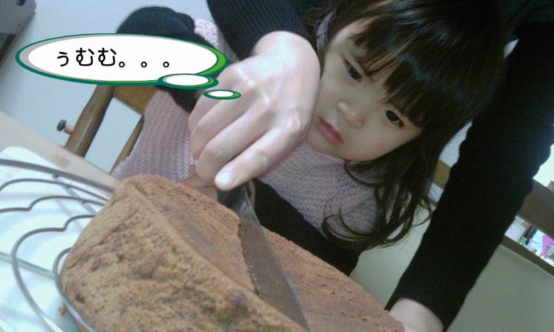 ファイル 174-1.jpg