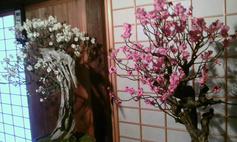 ファイル 175-1.jpg