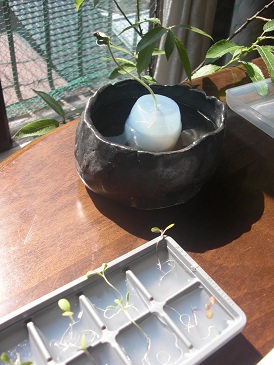 ファイル 18-2.jpg