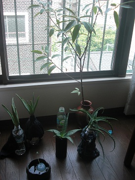 ファイル 18-3.jpg