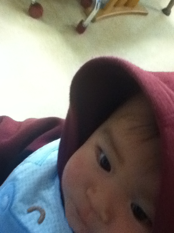 ファイル 181-2.jpg