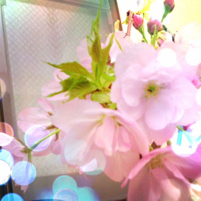 ファイル 198-2.png