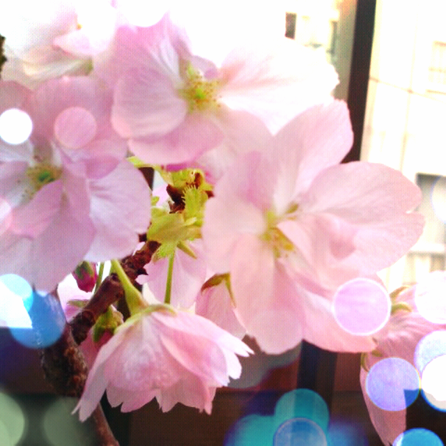 ファイル 198-3.png