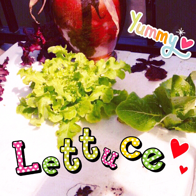 ファイル 200-1.png