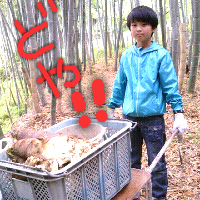 ファイル 215-4.png