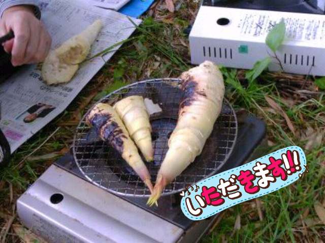 ファイル 215-5.png