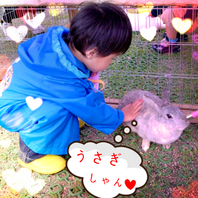 ファイル 217-3.png