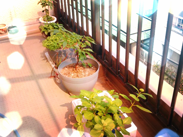 ファイル 221-1.png