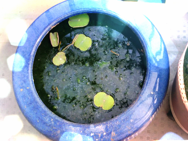 ファイル 221-2.png