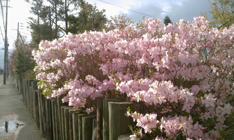 ファイル 224-1.jpg