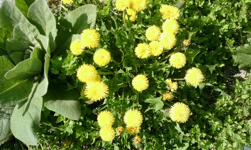 ファイル 224-2.jpg