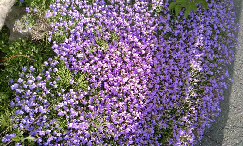 ファイル 224-3.jpg