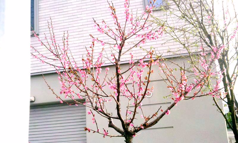 ファイル 224-4.jpg