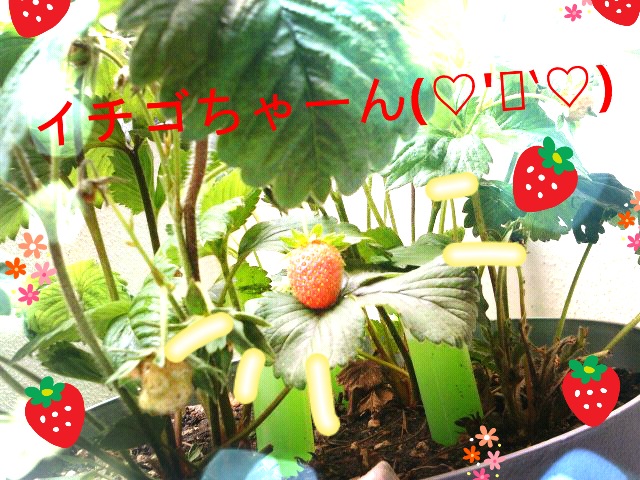 ファイル 229-1.png