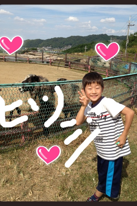 ファイル 270-1.jpg