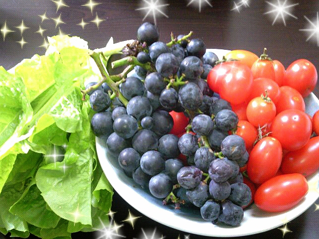 ファイル 271-1.jpg