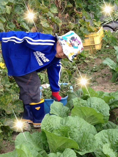 ファイル 273-1.jpg