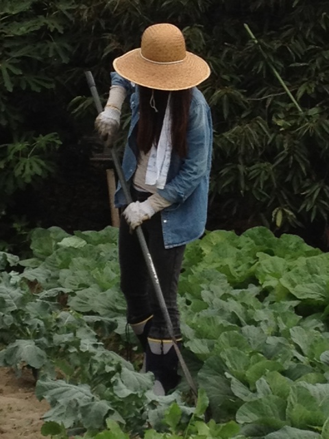 ファイル 273-2.jpg