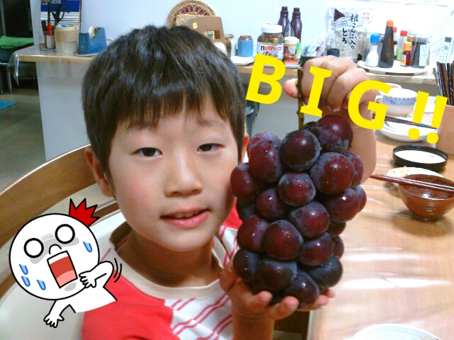 ファイル 280-1.jpg