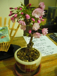 ファイル 30-1.jpg