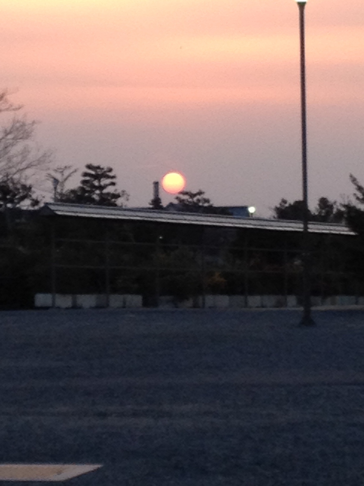 ファイル 303-1.jpg