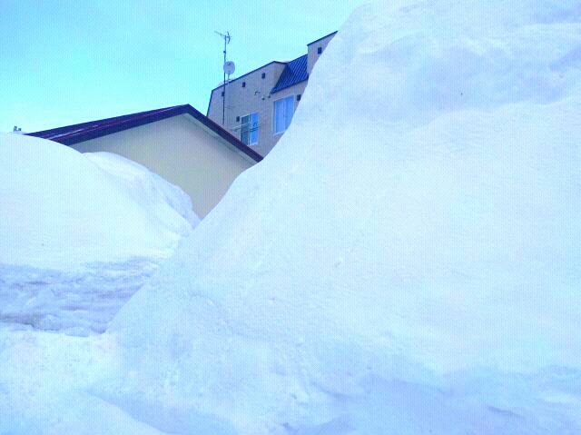 ファイル 305-1.jpg