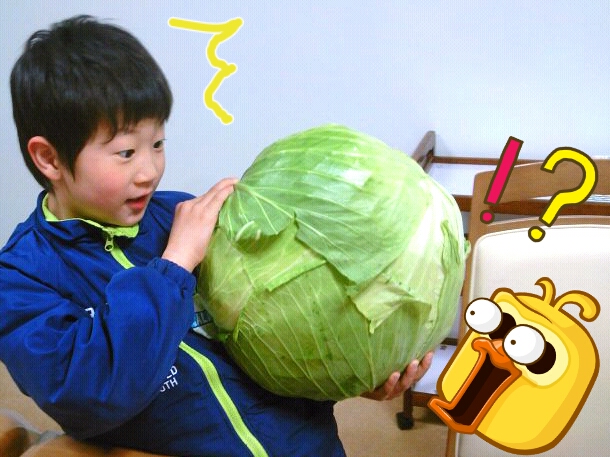 ファイル 309-1.jpg