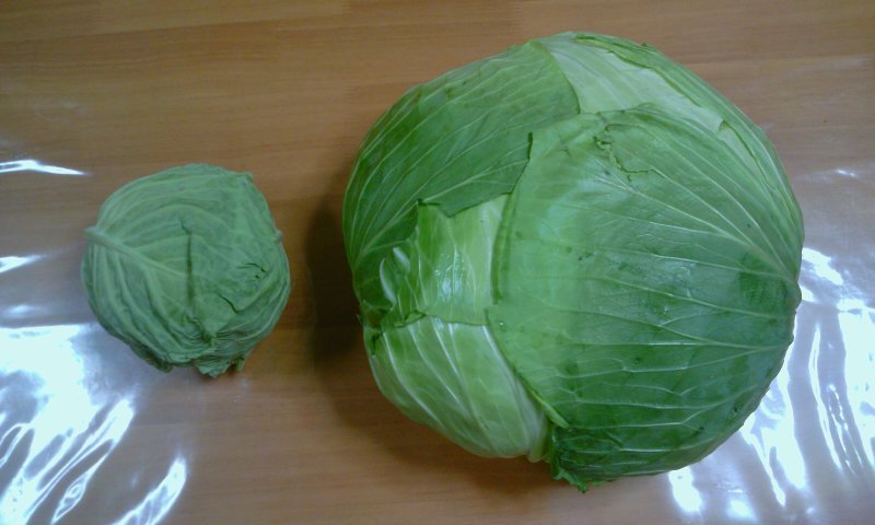 ファイル 309-2.jpg