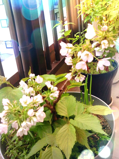 ファイル 318-2.jpg