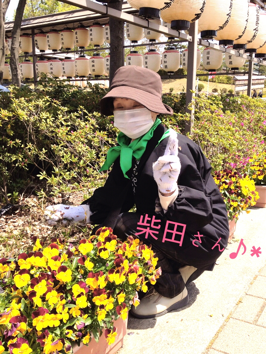 ファイル 321-4.jpg