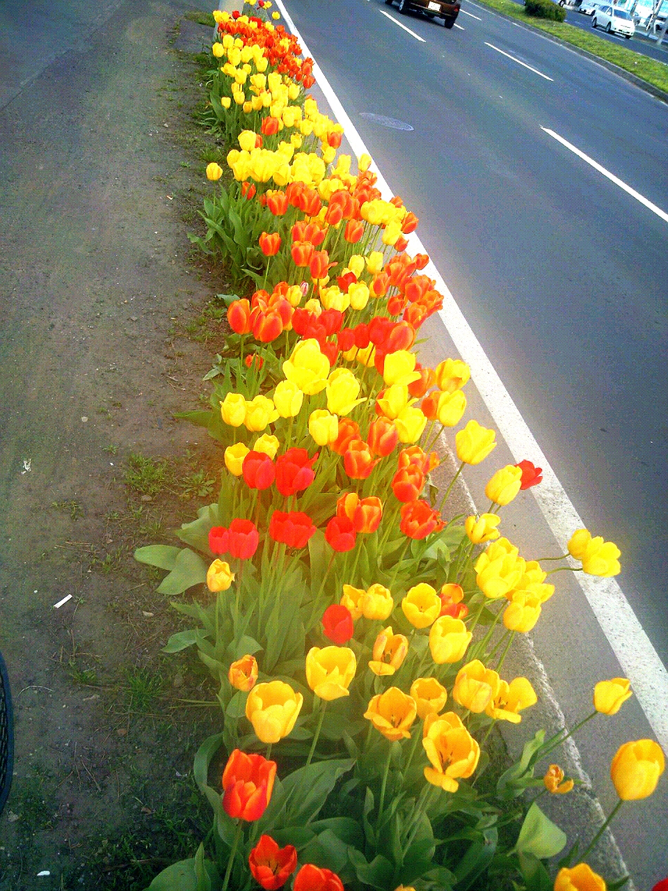 ファイル 325-1.jpg