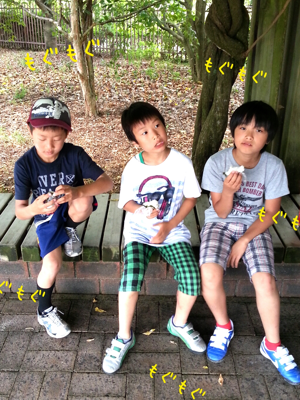 ファイル 336-3.jpg