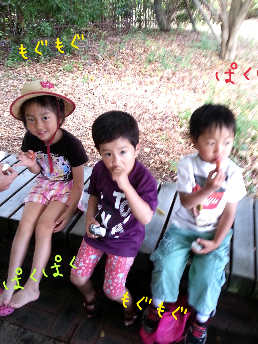 ファイル 336-4.jpg