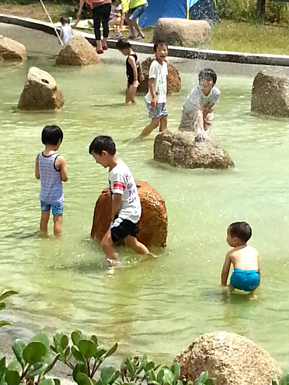 ファイル 337-2.jpg