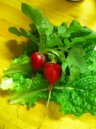 ファイル 34-1.jpg