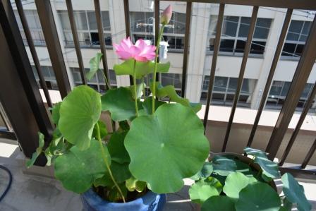 ファイル 340-2.jpg