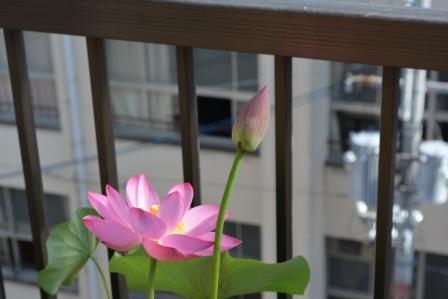 ファイル 340-3.jpg