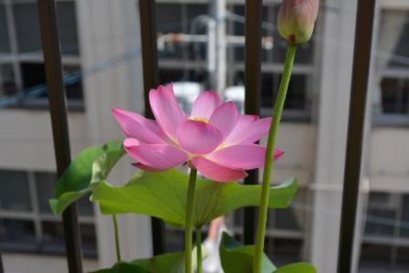 ファイル 340-5.jpg