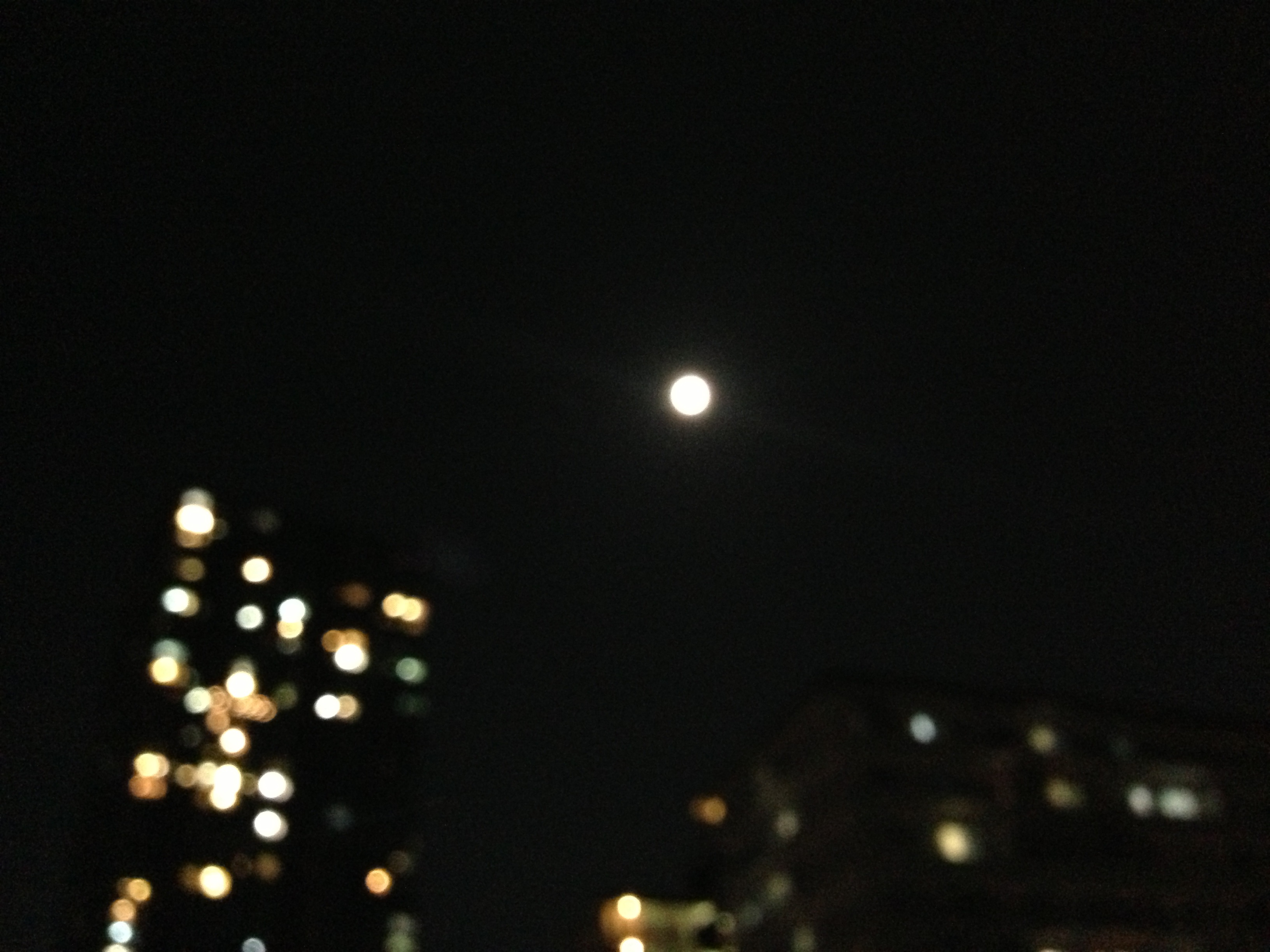 ファイル 359-1.jpg