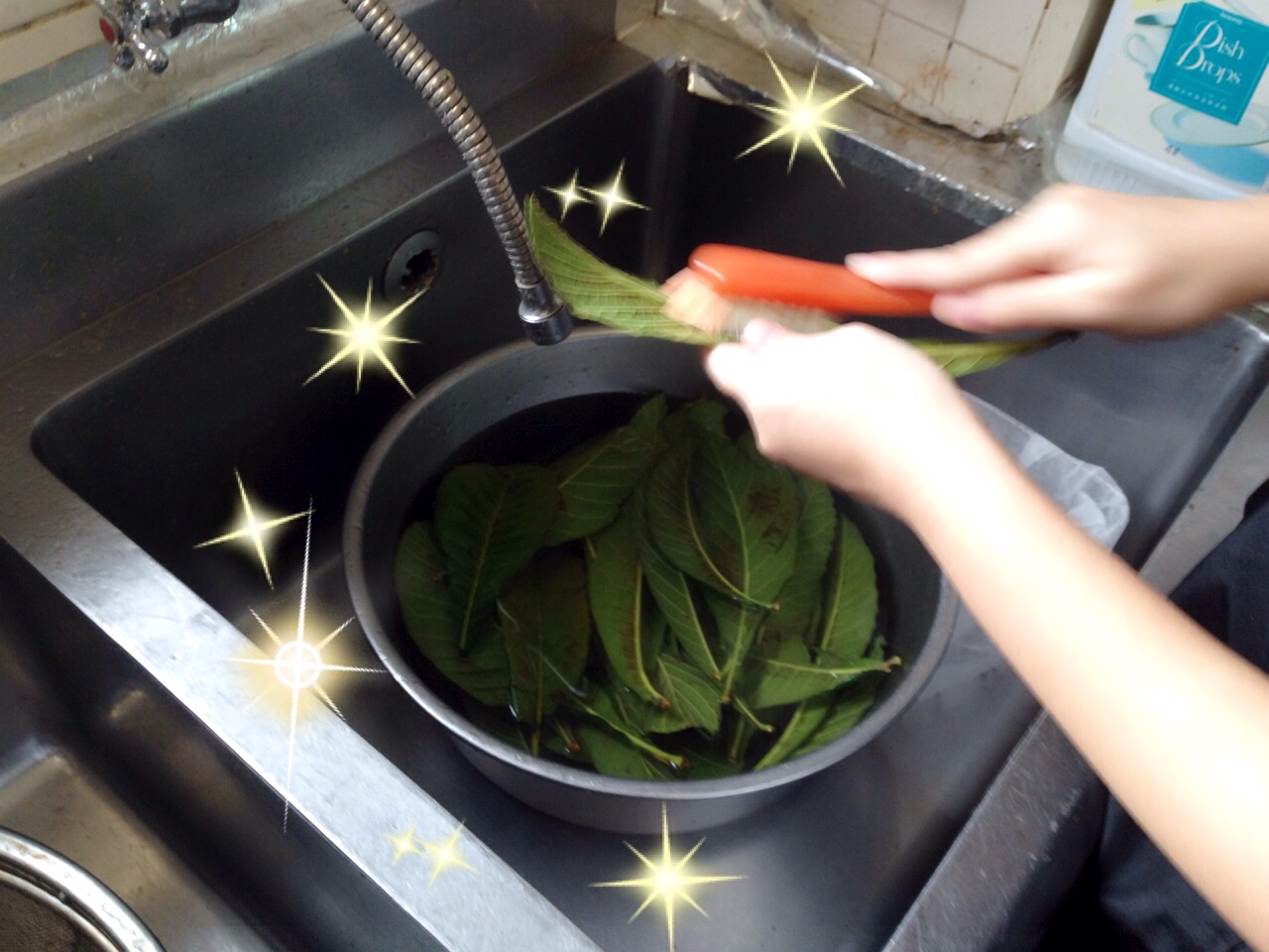 ファイル 386-2.jpg