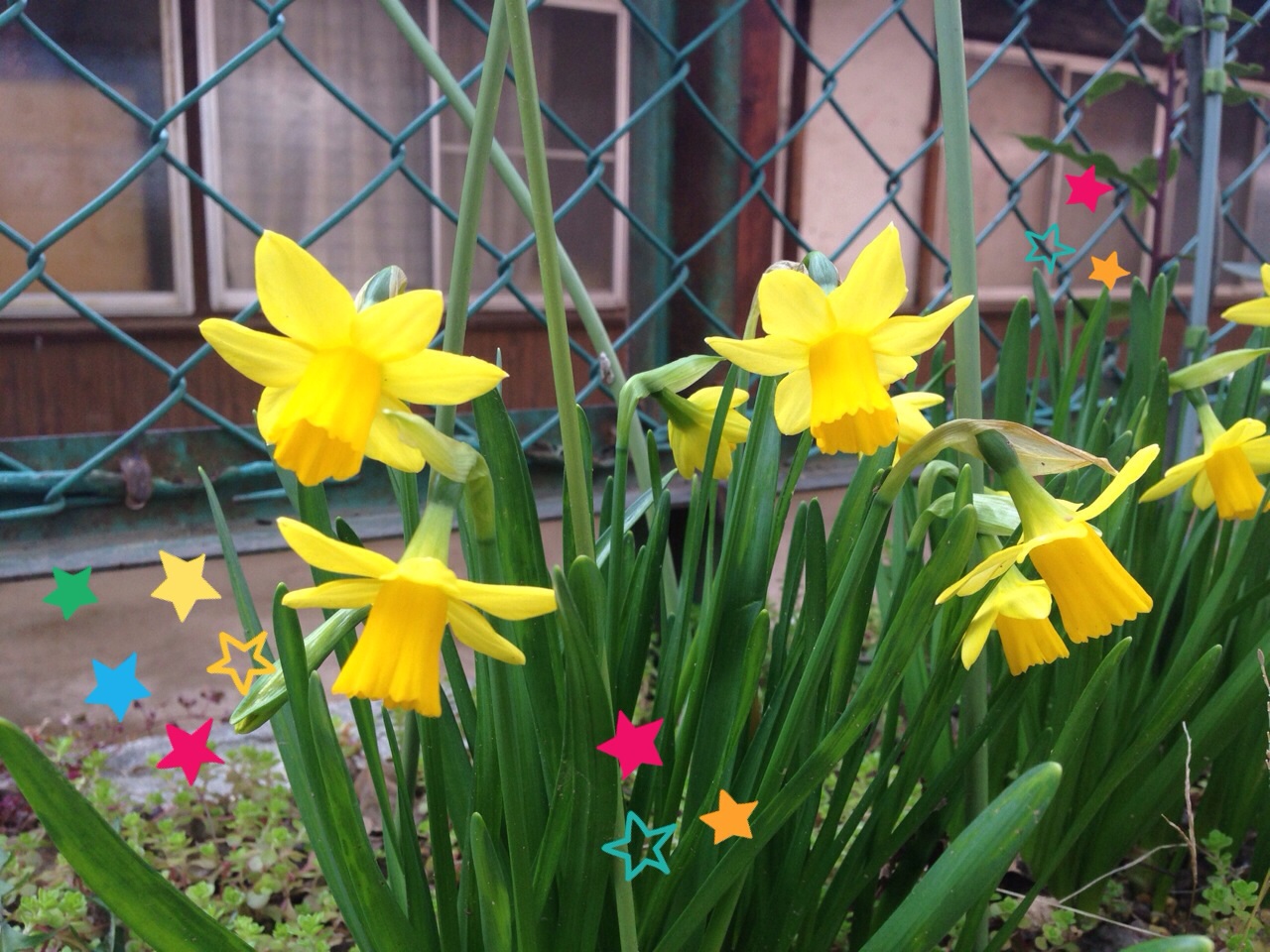 ファイル 393-2.jpg