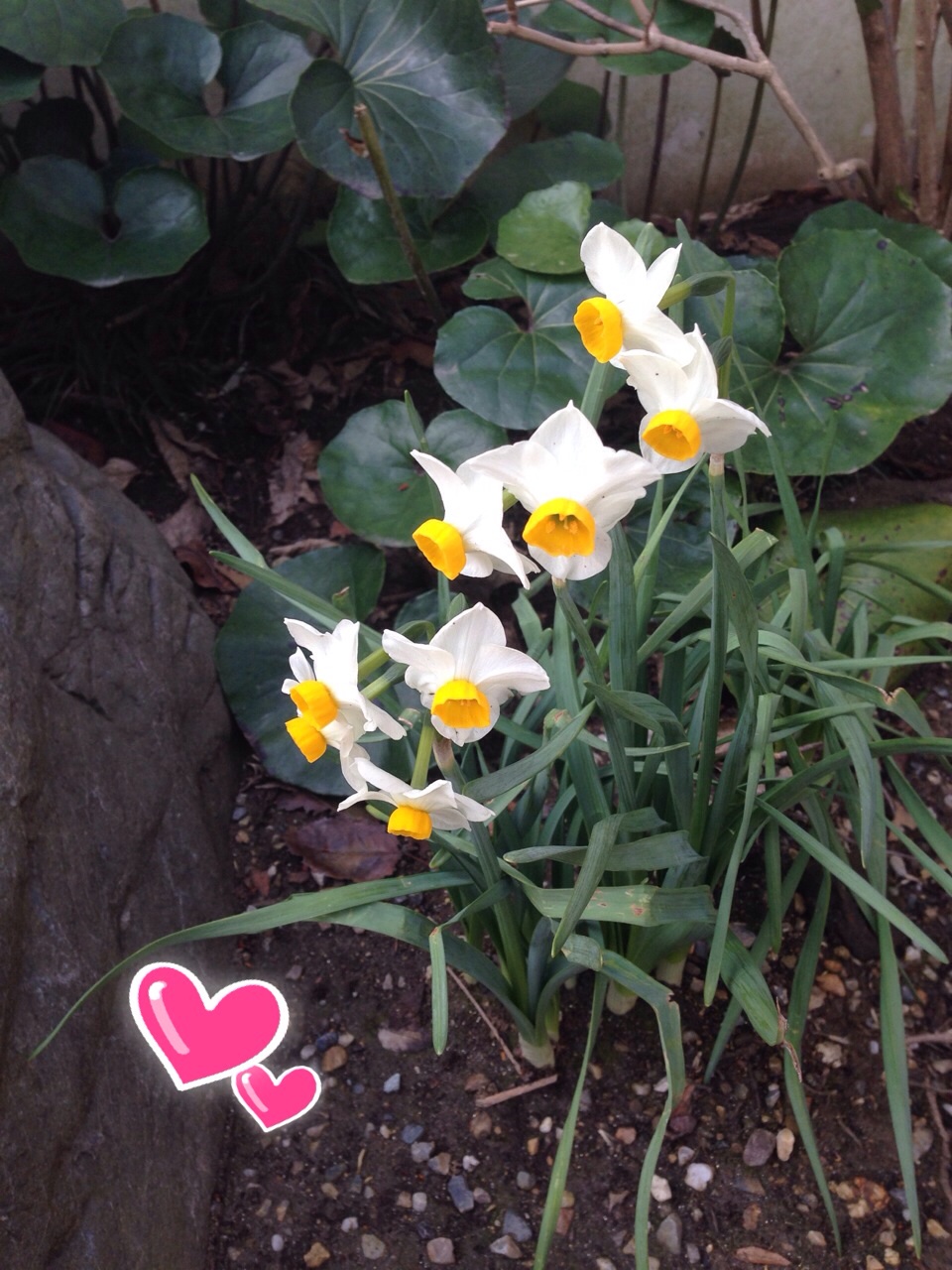 ファイル 393-3.jpg