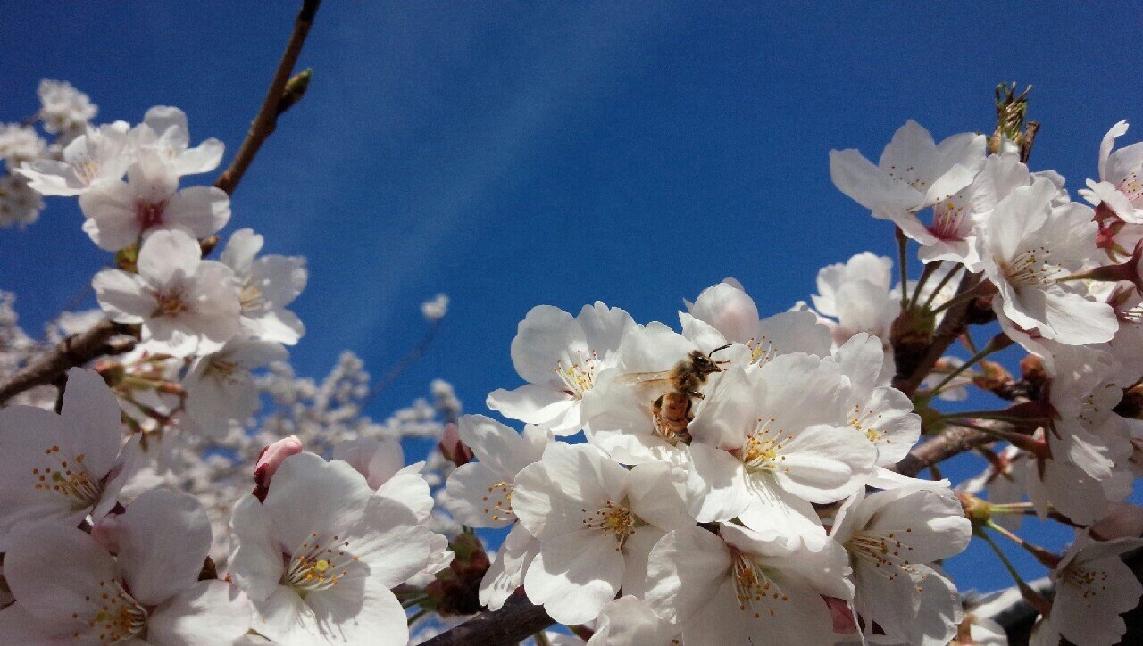 ファイル 397-2.jpg