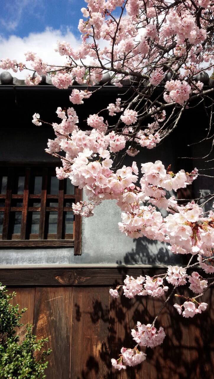 ファイル 397-3.jpg